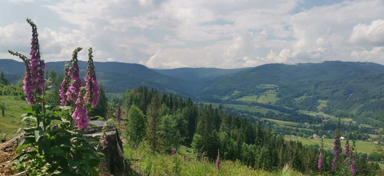 Chalupa Relax Dolní Lomná エクステリア 写真